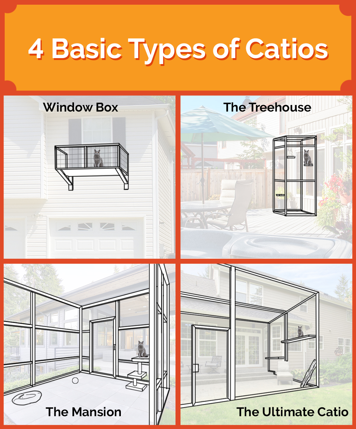 Infographic about the types of catios