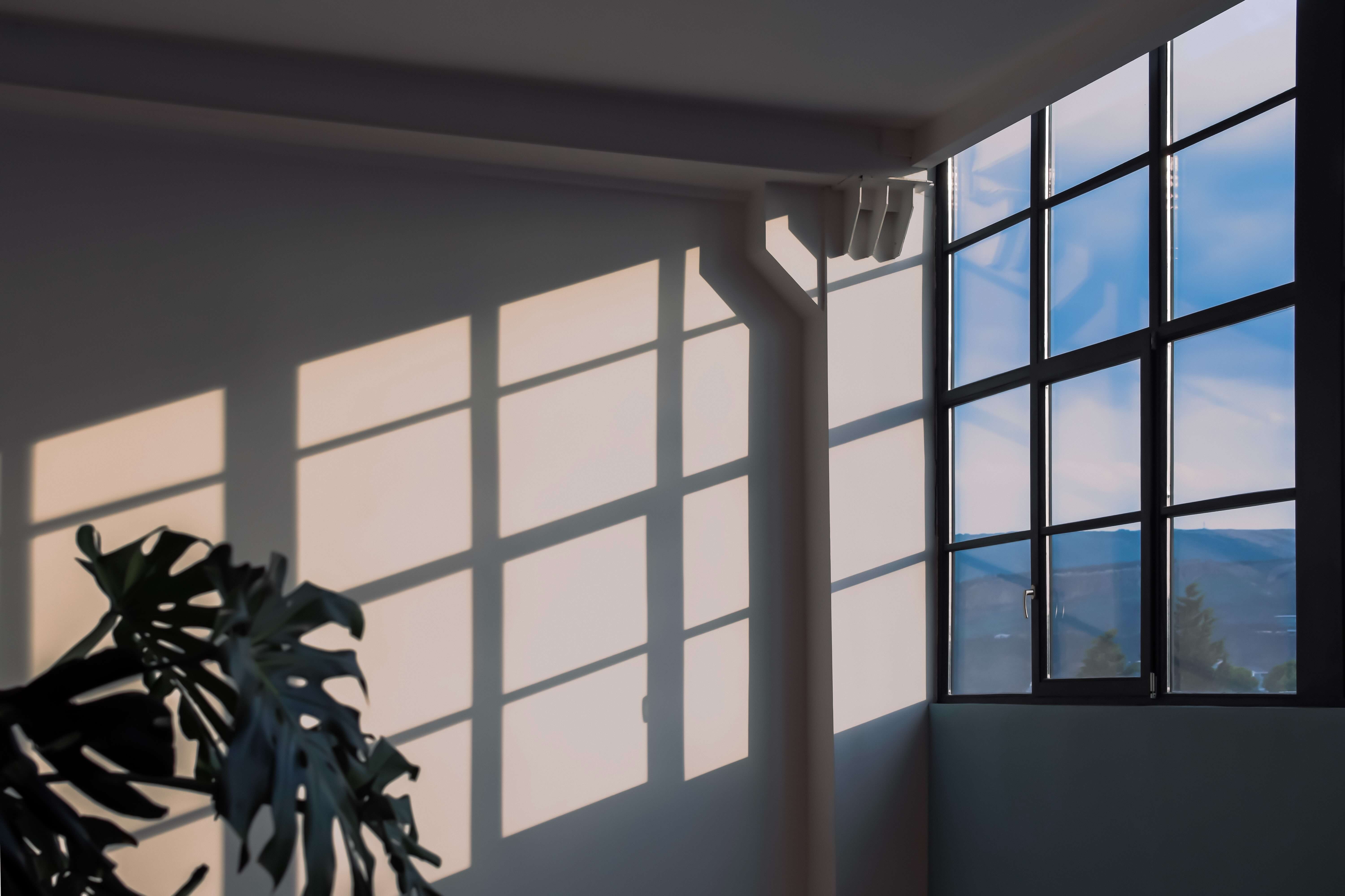 Window letting in sunlight to shine on an indoor plant