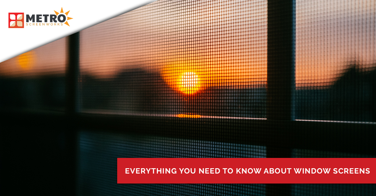 Window screen with sunset in background and text "everything you need to know about window screens"