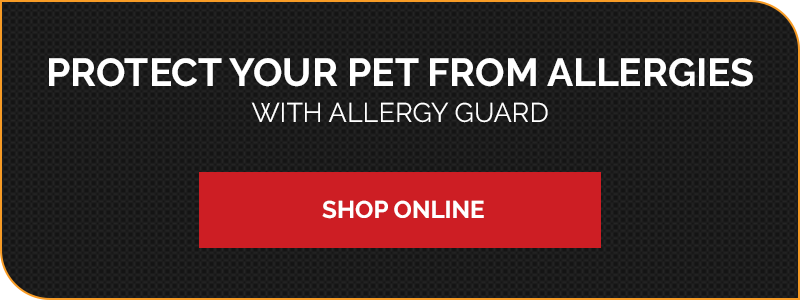 "Protect your pet from allergies with allergy guard"