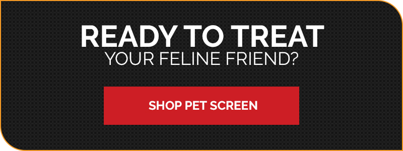 Ready to treat your feline friend? Shop pet screen