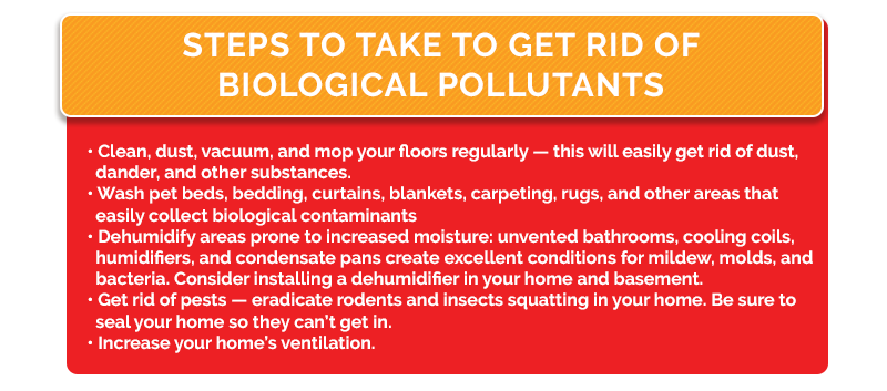 Infographic about steps to take to get rid of biological pollutants"