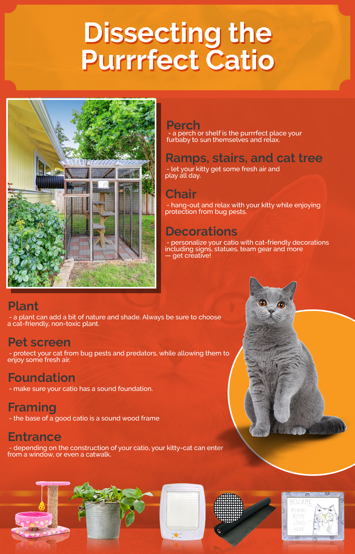 Infographic titled "dissecting the purrrfect catio"