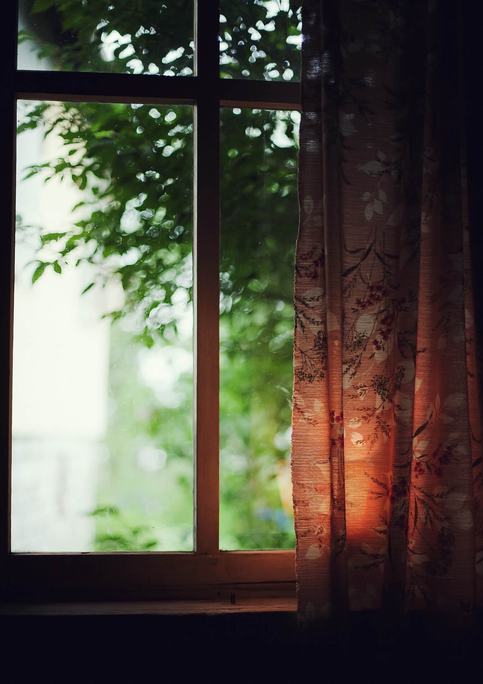 Window pane with ornate curtain