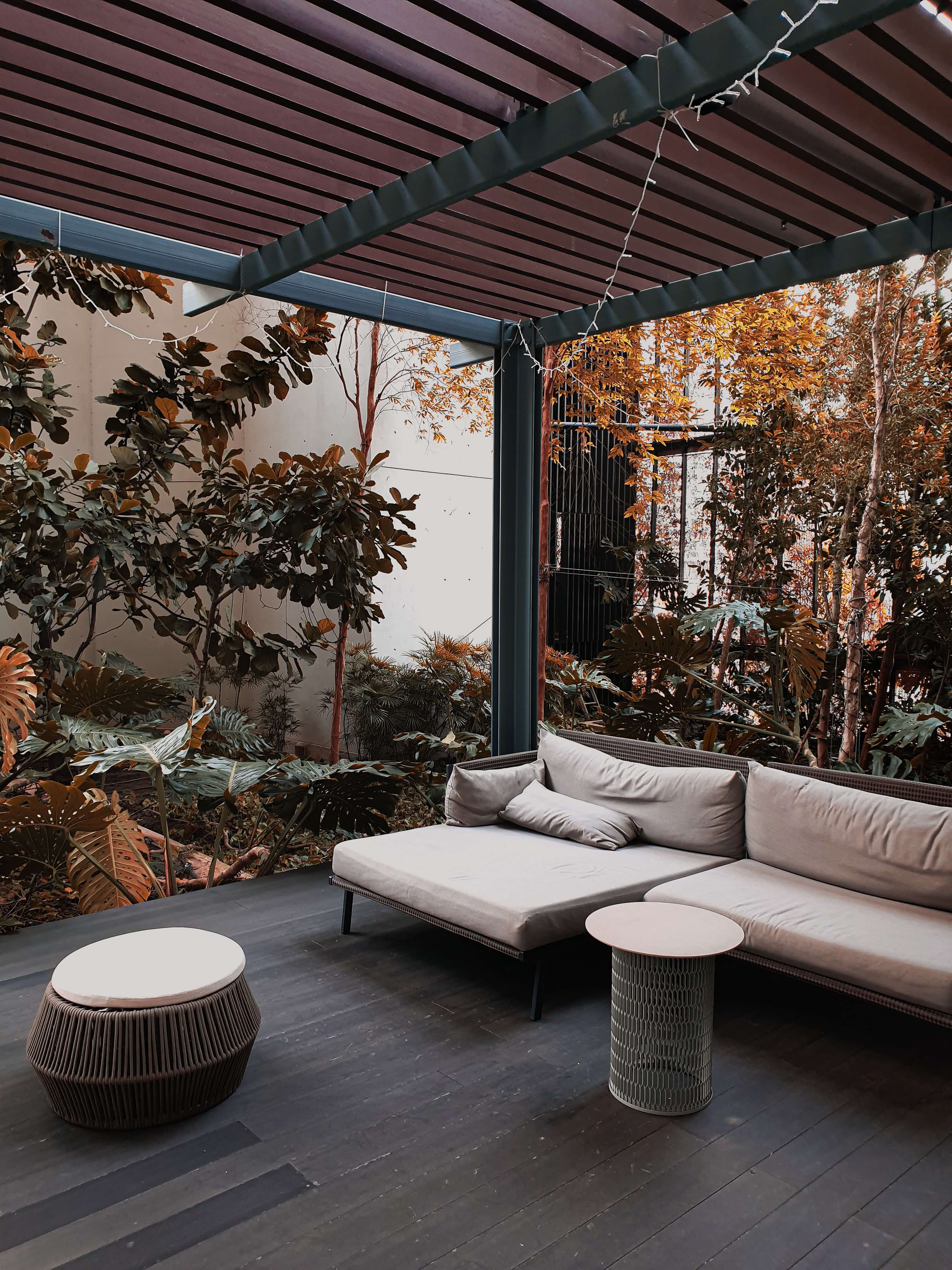 Outfoor patio space with trees, plants, and fairy lights