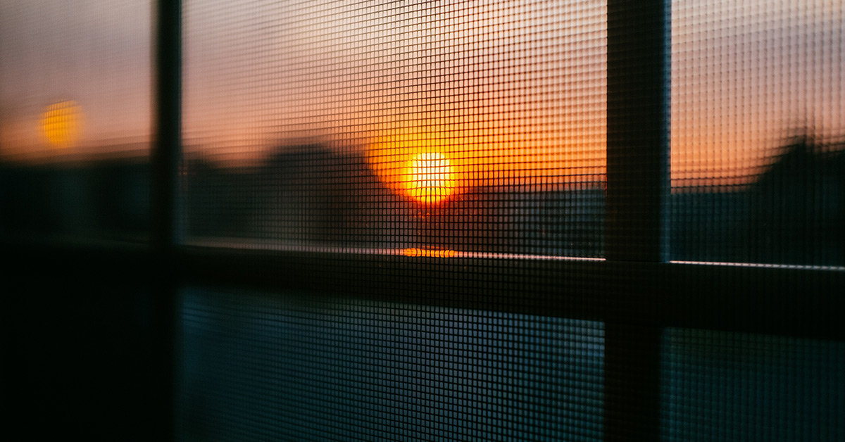A view of the sunset through a window screen