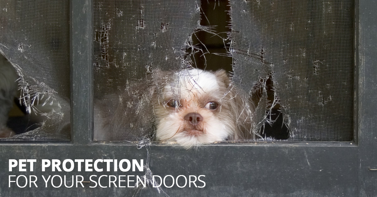 How To Stop Dog From Running Through Screen Door