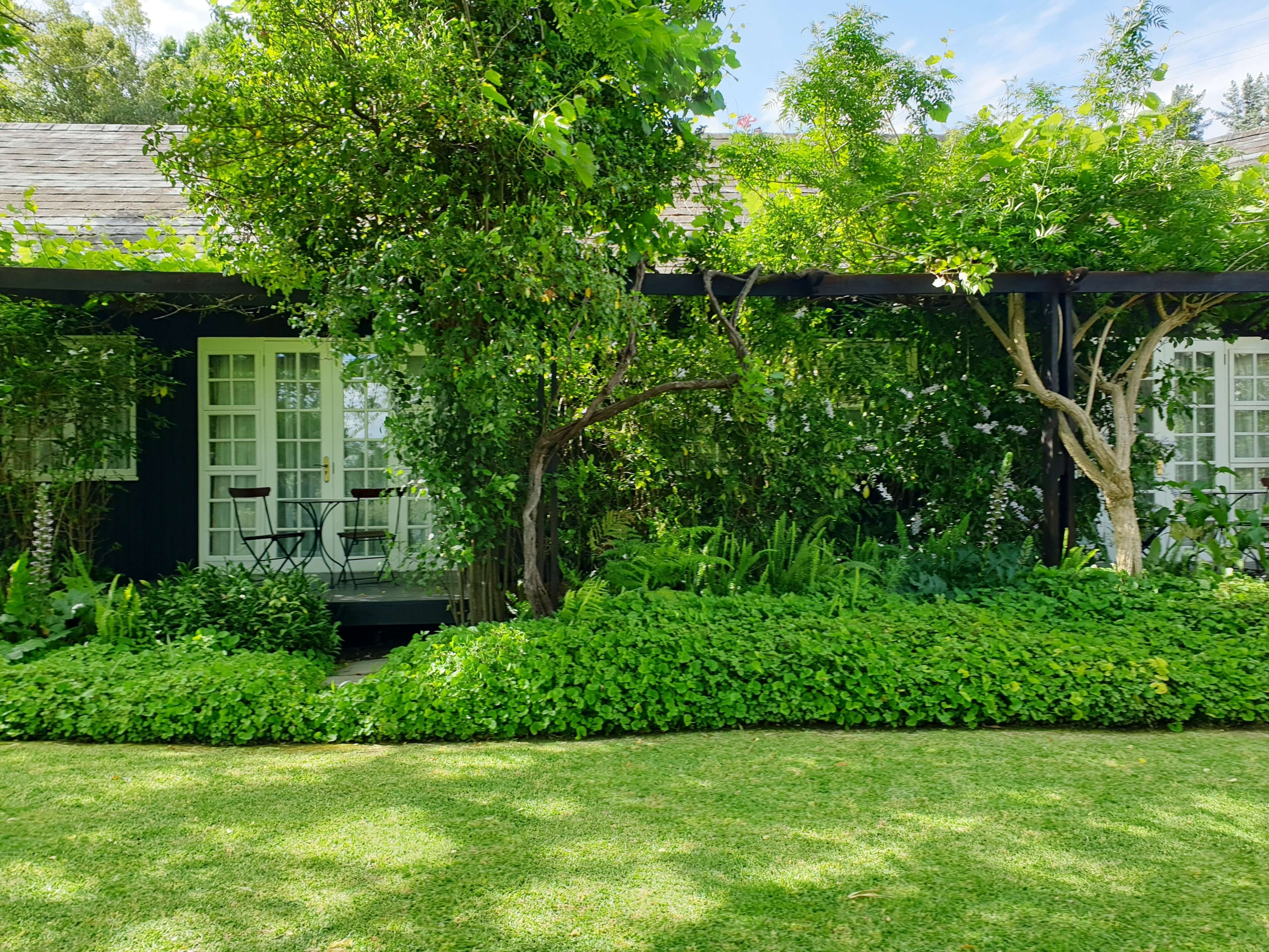 Lush yard surrounding a sliding screen door