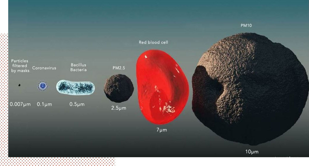 Infographic showing the size of various particles
