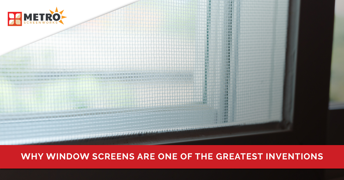 Image of a window with a screen and text "why window screens are one of the greatest inventions"