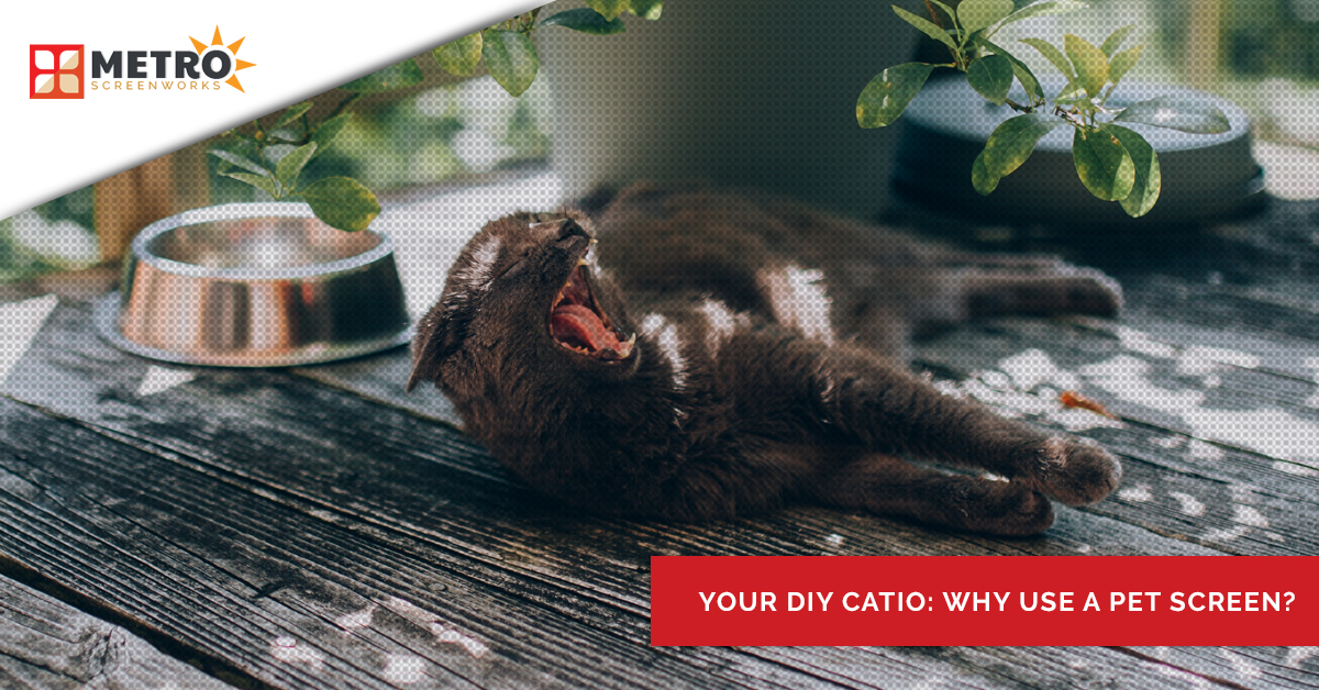 Cat yawning and lounging on wood flooring and the title "Your DIY Catio: Why use a pet screen?"